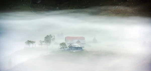 Mountain landscape with autumn morning fog at sunrise - Fundatur — Stock Photo, Image