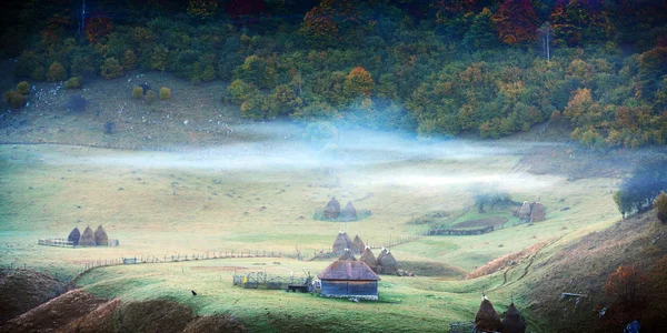 Horská krajina s podzimní ranní mlhy při východu slunce — Stock fotografie