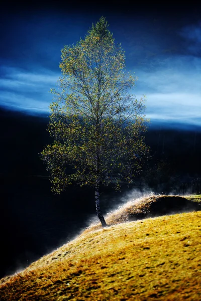 Paysage montagneux avec brouillard matinal d'automne au lever du soleil — Photo