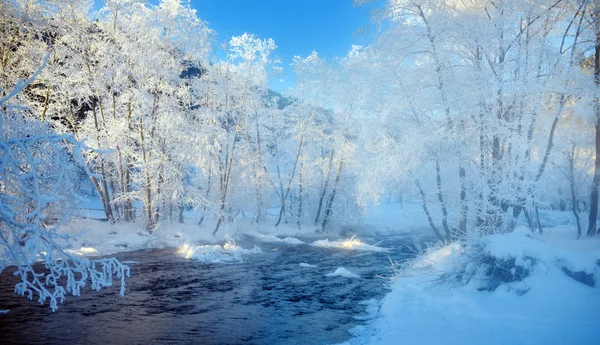 Rivière de montagne en hiver matin — Photo