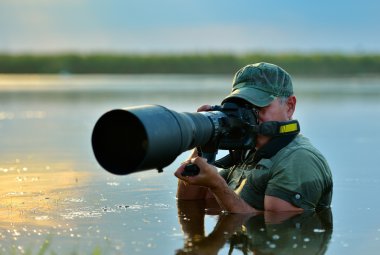 vahşi yaşam fotoğrafçısı açık, suda ayakta