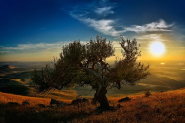 sonbaharda, Dobrogea, Romanya gün batımında manzara 