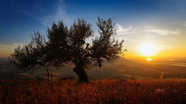 sonbaharda, Dobrogea, Romanya gün batımında manzara 