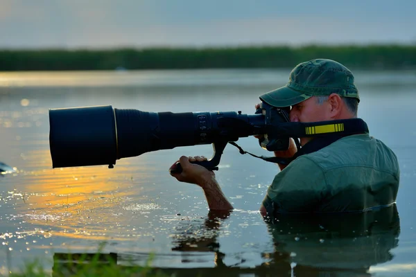 Wildlife photographer outdoor, standing in the water — Stock Photo, Image