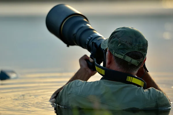 Фотограф дикой природы на открытом воздухе, стоящий в воде — стоковое фото
