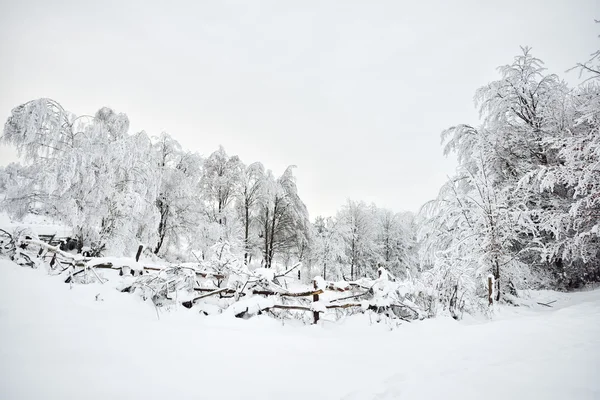 Paisaje invierno — Foto de Stock