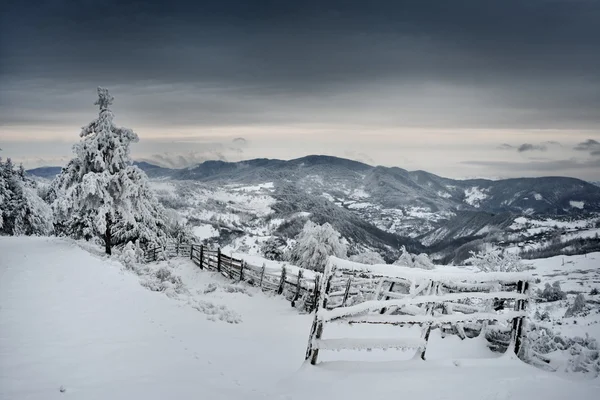 Beau paysage de montagne d'hiver — Photo