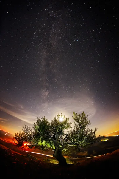 Noční krajina s mléčnou dráhu nad poli — Stock fotografie