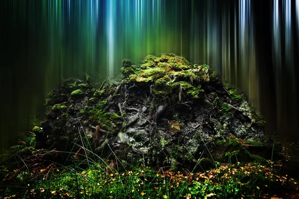 Höstlandskap i skogen på Dimmig morgon — Stockfoto