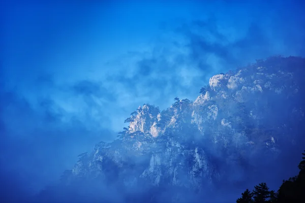 Montañas de niebla al amanecer, Rumania —  Fotos de Stock