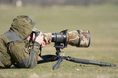 vahşi yaşam fotoğrafçısı açık