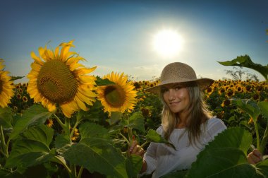 çiçeklenme üzerinde genç güzel kadın ayçiçeği alan 