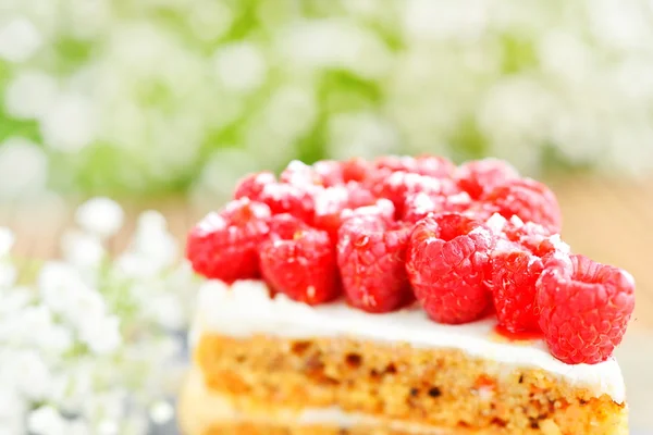 접시에 라즈베리 케이크 — 스톡 사진