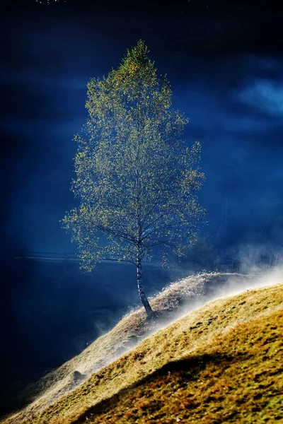 Paisagem de montanha com nevoeiro da manhã de outono ao nascer do sol — Fotografia de Stock