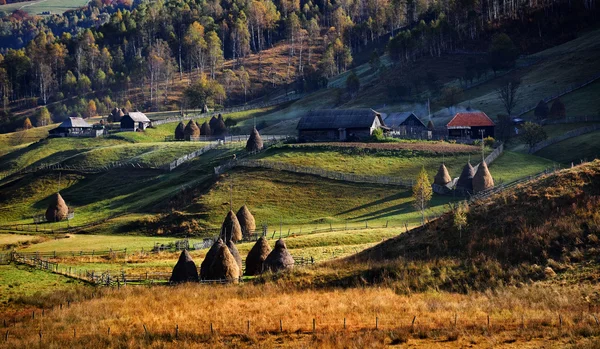 Horská krajina v podzimní ráno - Fundatura Ponorului, Ro — Stock fotografie