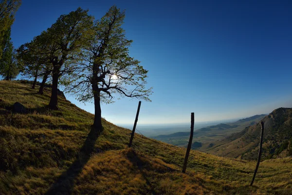 Paisaje de montaña —  Fotos de Stock