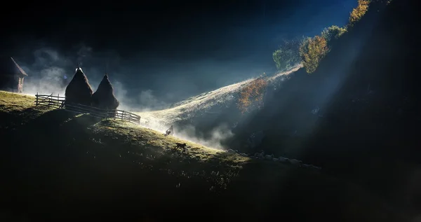 Górski krajobraz z jesieni mgła na wschód - Fundatur Zdjęcia Stockowe bez tantiem