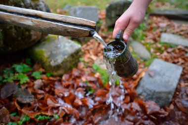 source of spring water flowing in the mountain clipart