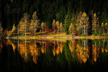 Dağlarda sonbahar manzarası