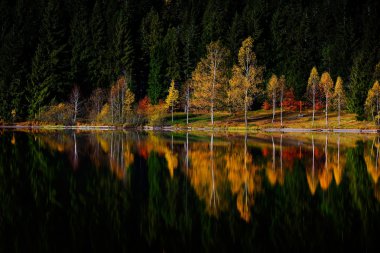 Dağlarda sonbahar manzarası