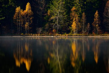 Dağlarda sonbahar manzarası