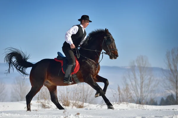 Young man riding horse outdoor in winter — Stock Photo, Image