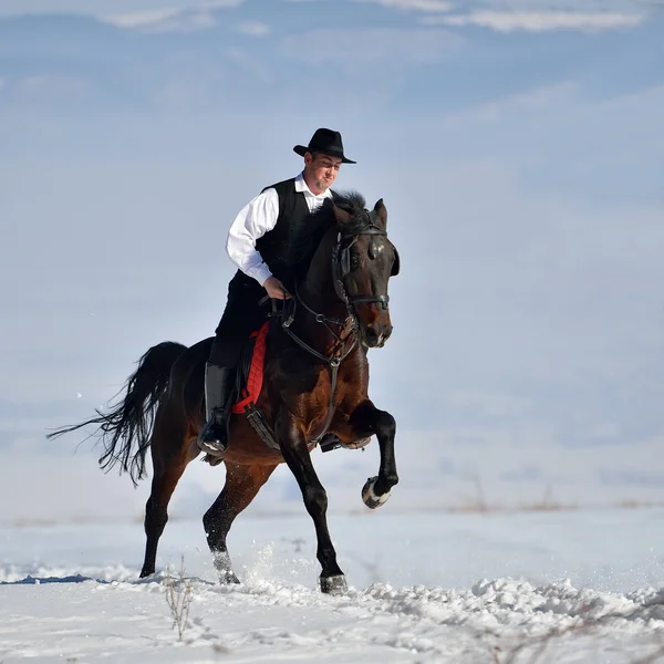 Young man riding horse outdoor in winter — Stock Photo, Image