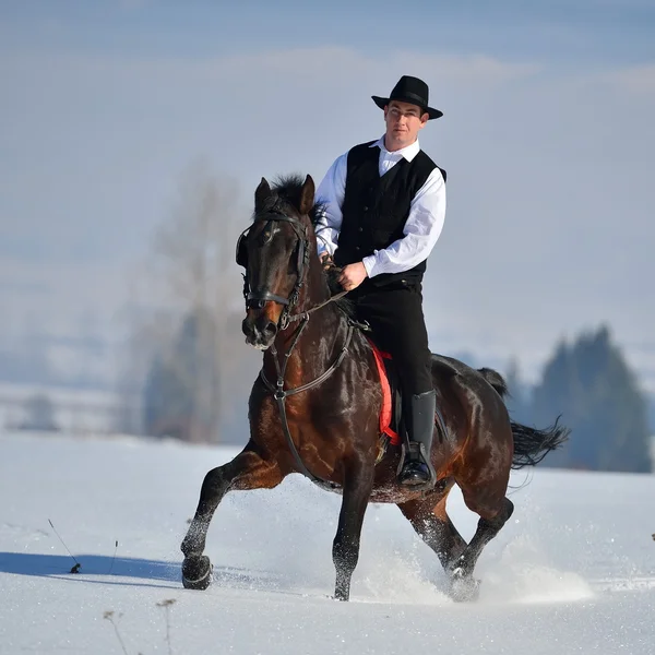 Young man riding horse outdoor in winter — Stock Photo, Image