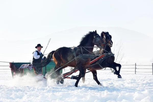 Young man riding horse outdoor in winter — Stock Photo, Image