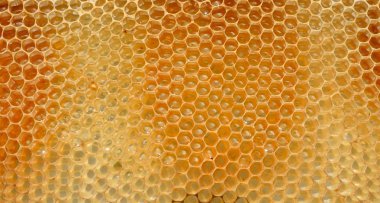 Petek parlak parçası