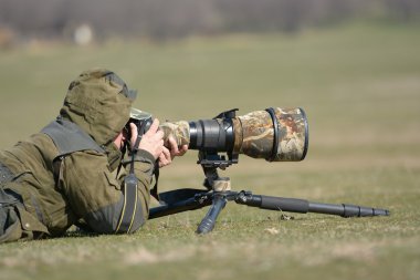 vahşi yaşam fotoğrafçısı eylem açık