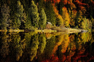 Dağlarda sonbahar manzarası