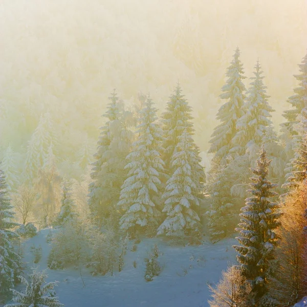 Vinterlandskap i Rumänien — Stockfoto