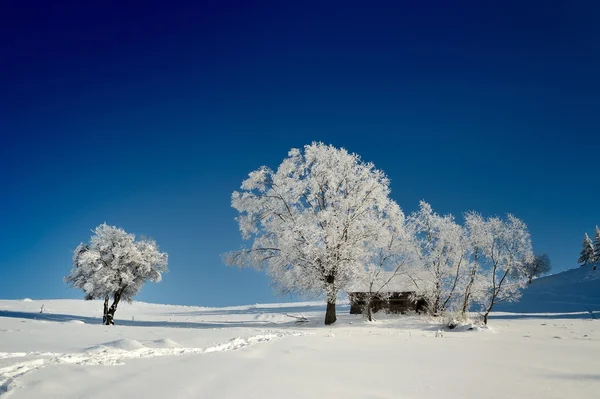 Paysage hivernal en Roumanie — Photo