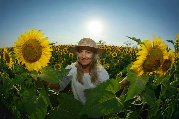 Unga vackra kvinnan på solros fält — Stockfoto