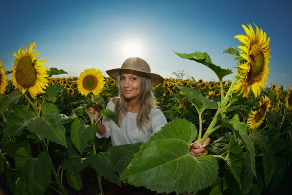 Junge hübsche Frau auf Sonnenblumenfeld — Stockfoto