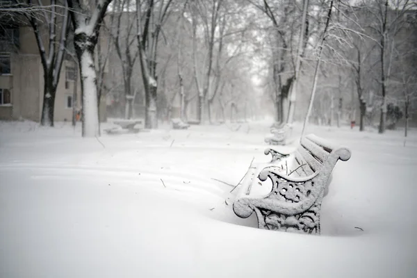 Bancos no parque coberto com neve — Fotografia de Stock