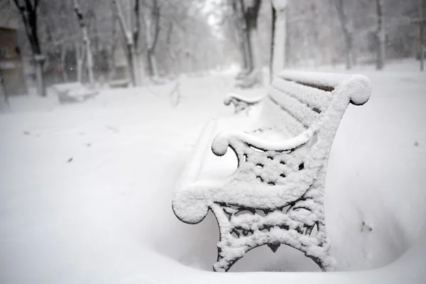 Bancos no parque coberto com neve — Fotografia de Stock