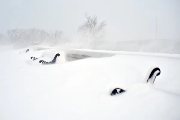 Bancos no parque coberto com neve — Fotografia de Stock