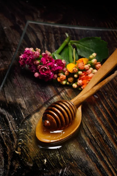 Miel doré et fleurs colorées — Photo