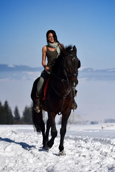 Jonge vrouw paardrijden paard — Stockfoto