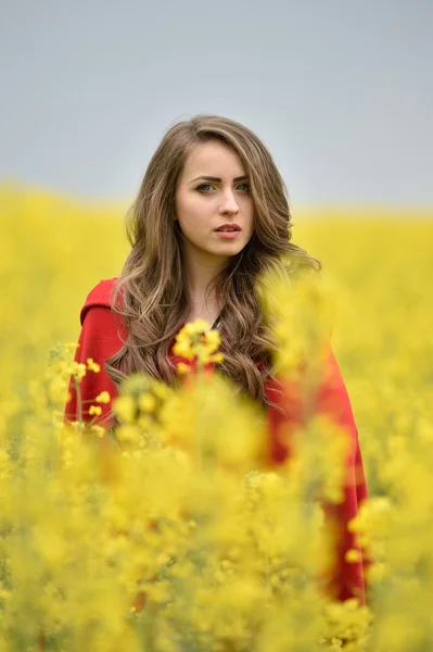 Mooie vrouw in voorjaar veld — Stockfoto