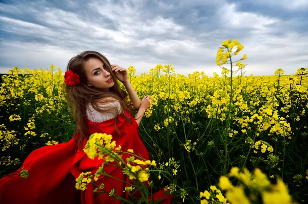 Bela mulher no campo de primavera — Fotografia de Stock