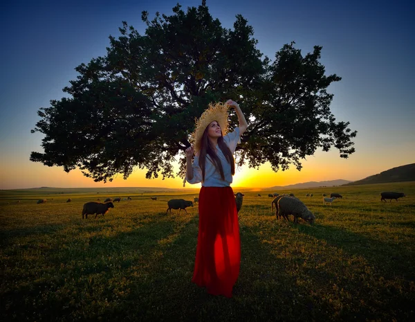 Jovem mulher bonita no campo — Fotografia de Stock