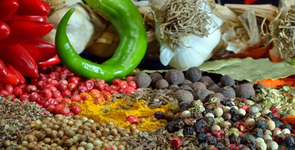 Colorful spices and vegetables — Stock Photo, Image