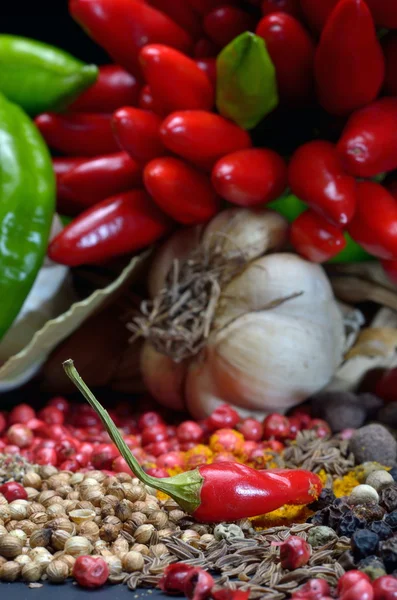 Especiarias e legumes coloridos — Fotografia de Stock