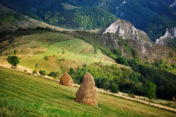 Berglandschap in de herfst — Stockfoto