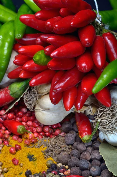 Colorful spices and vegetables — Stock Photo, Image