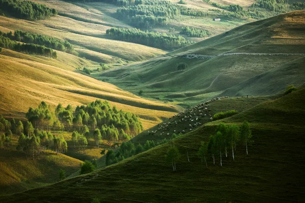 秋の山岳風景 — ストック写真