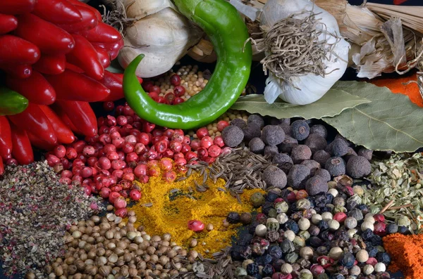 Especiarias e legumes coloridos — Fotografia de Stock